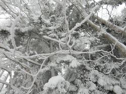 Week-end raquettes CHASTREIX