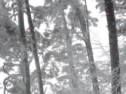 Week-end raquettes CHASTREIX