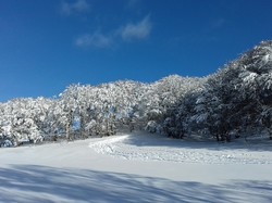 Week-end raquettes Picherande