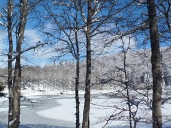 Week-end raquettes Picherande