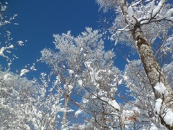 Week-end raquettes Picherande