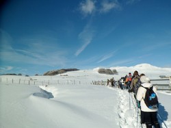 Week-end raquettes Picherande