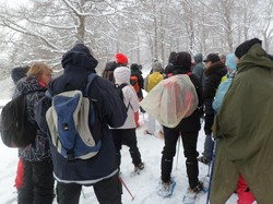 Week-end raquettes Picherande