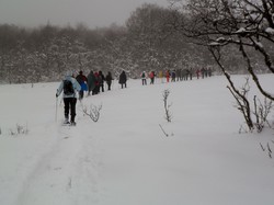 Week-end raquettes Picherande