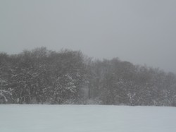 Week-end raquettes Picherande