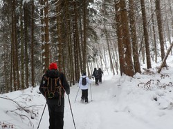 Week-end raquettes Picherande