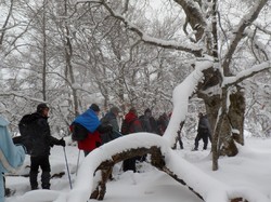 Week-end raquettes Picherande