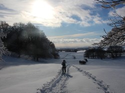 Week-end raquettes Picherande