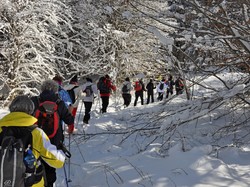 Week-end raquettes Picherande