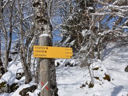 Week-end raquettes Picherande