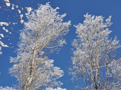 Week-end raquettes Picherande