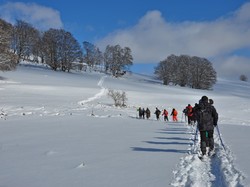 Week-end raquettes Picherande