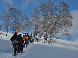 Week-end raquettes Picherande