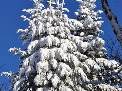 Week-end raquettes Picherande