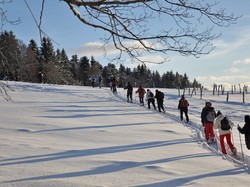 Week-end raquettes Picherande